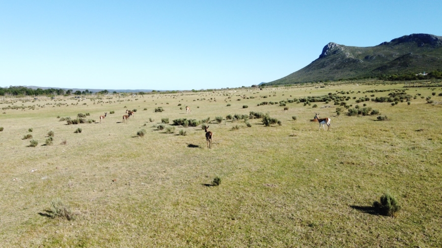 2 Bedroom Property for Sale in Gouritsmond Rural Western Cape